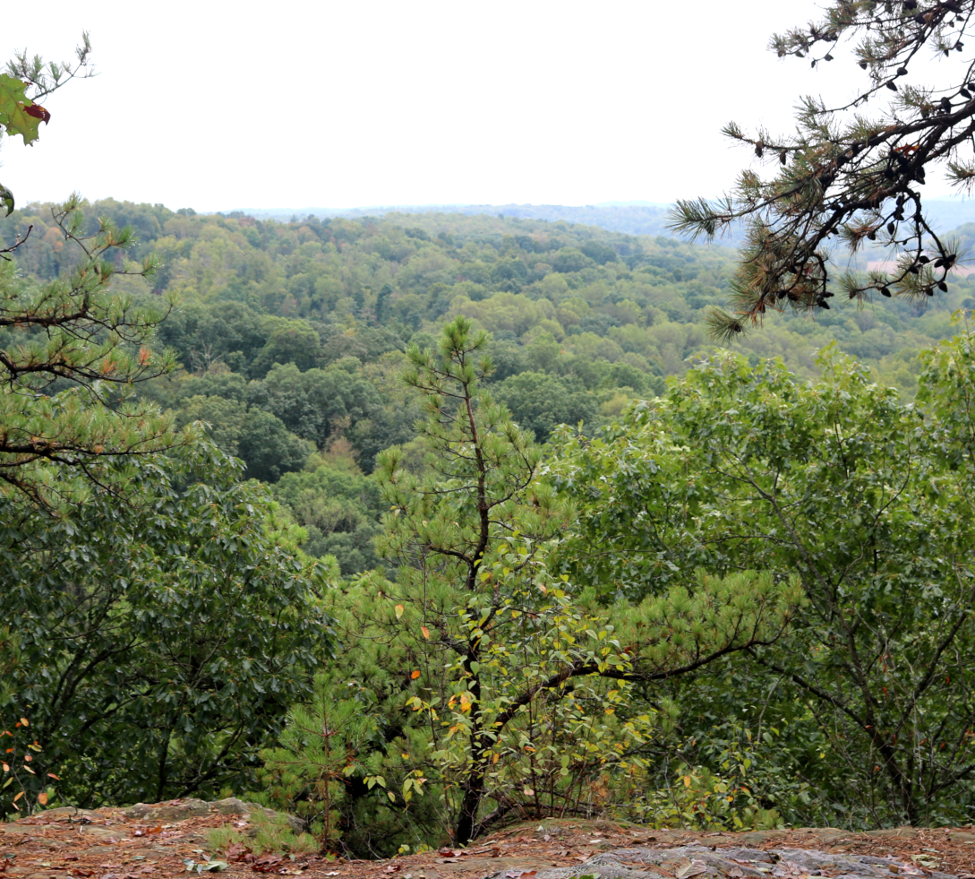 Hocking Hills Fall Colors: Christmas Rocks, Jacob's Ladder Trail,  in southeastern Ohio